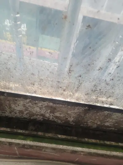 부산곰팡이제거, 제거후 청소까지 실시합니다. 현장 사진