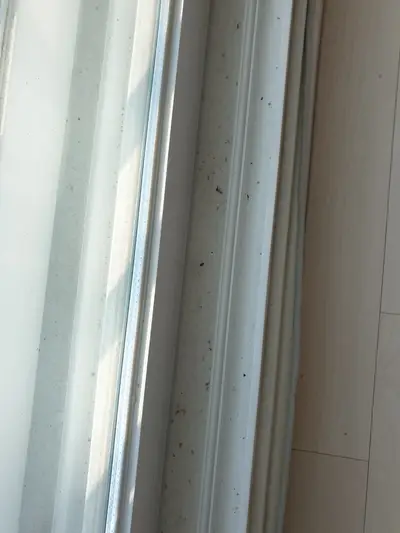 해운대우동삼호가든거주청소 묵은때는 해본사람이 잘합니다. 현장 사진