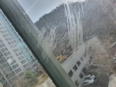 따스한 햇빛에 활력을 받아 해운대청소 갑니다 현장 사진